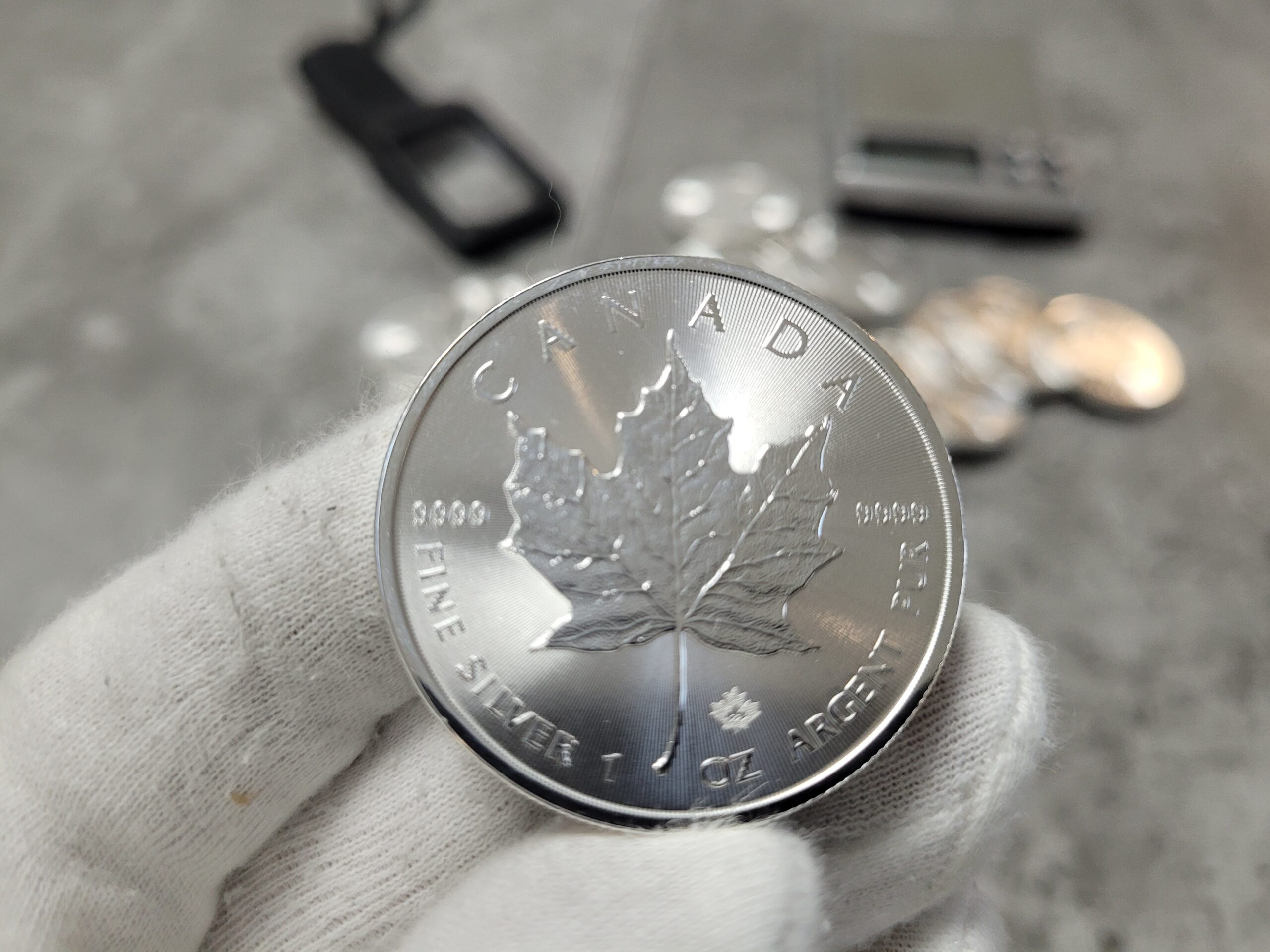 1 oz Maple Leaf Silber kaufen 1 oz Maple Leaf Silber kaufen